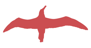 Silhouette of an albatross. Silhouette of an albatross.