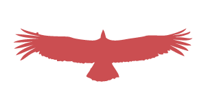 Silhouette of a condor. Silhouette of a condor.