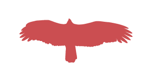 Silhouette of a hawk. Silhouette of a hawk.